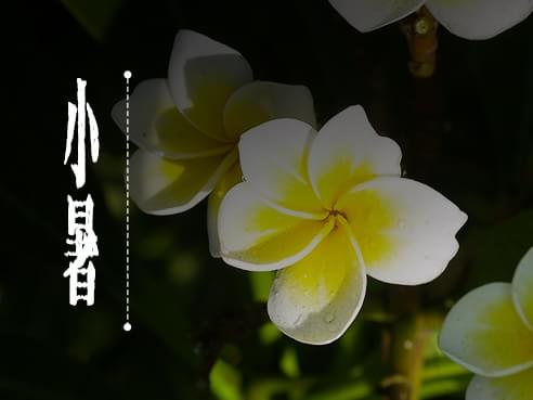 ��ͳ��ѧ֮΢��|С�Ī��ʱ��