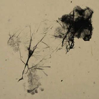 ��ͳ�Ļ�֮�Ŵ���������