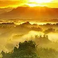 �񻰹���- - ����Ϊʲô����ʵ���ϼ��