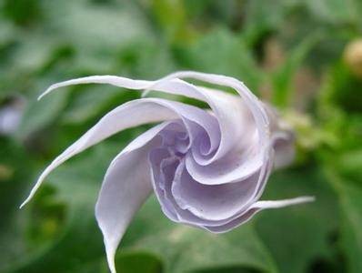 ��ͳ�Ļ�֮�Ͻ����ҵĻ�������ǹ��û��