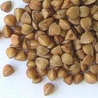 ��������: ����۵�6����ʳ��