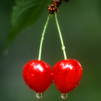 7�³�ʲôˮ������������ֻ֪������������