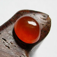 ��ʶ����е���Ʒ��������