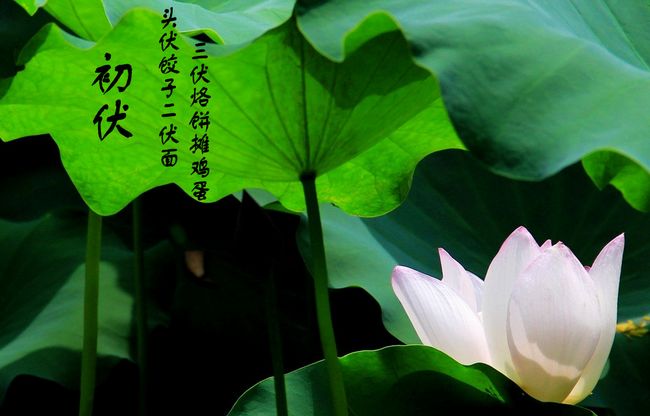 ��ͳ����֮�����������׼��������