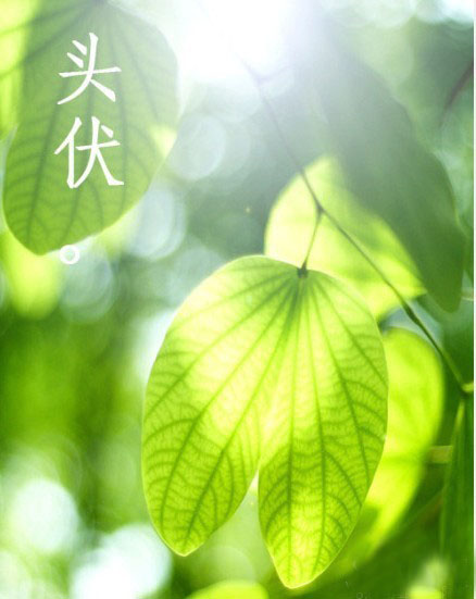 ���������е��������ô���Ž�����