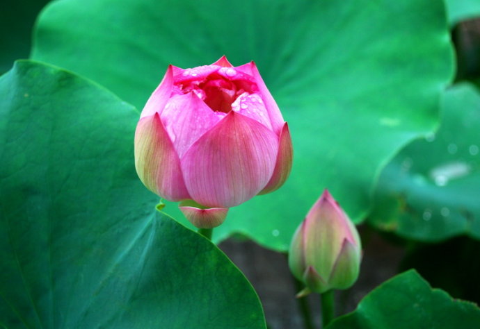 ��ͳ�Ļ�֮����ʫ�ʡ����޷�������