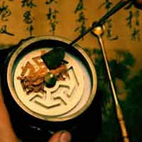 ��ͳ�Ļ�֮��ʳ�����е���ҩ