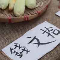 ��������֮���۴�������ʷԨԴ