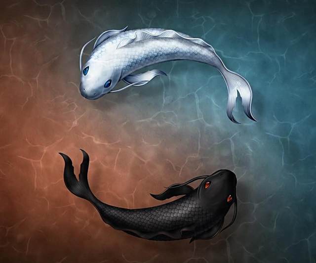 ��ͳ��ѧ֮�������˵�����Ů��