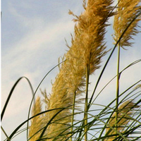 ��ˮ֮�ɱ��ÿյ����Ȱ���Ҳ�������