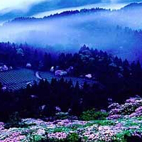 ��ͳ�Ļ�֮����̨ɽ�ռǡ�����ϼ��