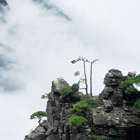 ��ͳ�Ļ�֮��ϼ�����书ɽ�ռ�