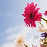 ��ͳ�Ļ�֮���顢Ѫ�顢��Ѫ��������������