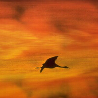 ��ˮһЩԤʾ��Ҫ��ù�����ף�