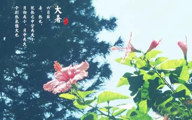 ��ʮ�Ľ���������֮����