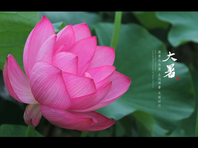 �����ͺɣ���������