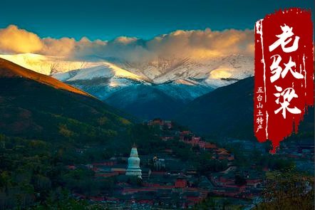 �й�10���ڽ���ɽ����