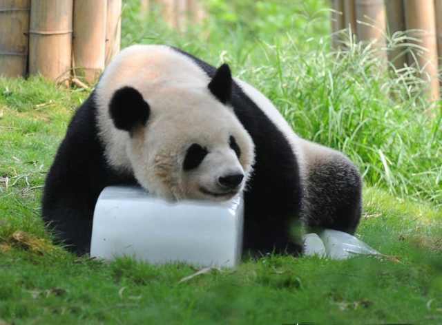 ��ͳ�Ļ�֮������ʫ�����²ۣ�