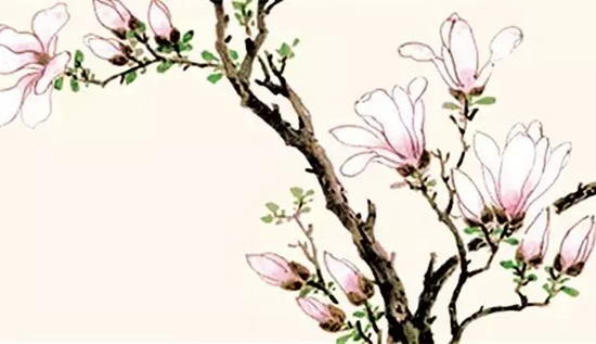 ��ͳ�Ļ�֮������ʮ������