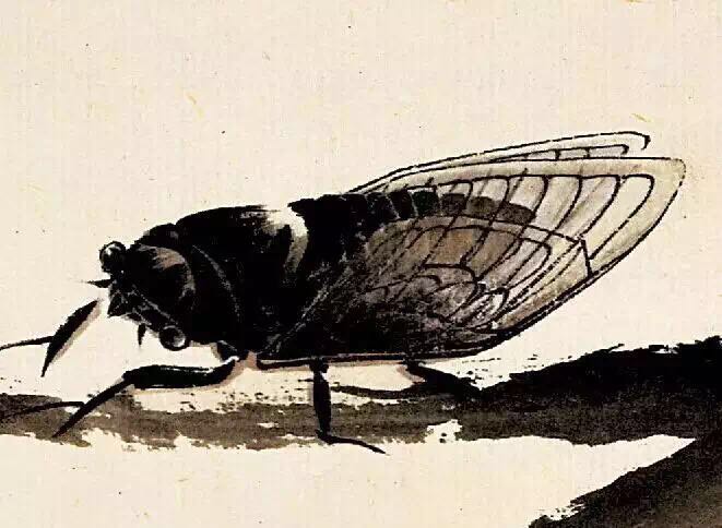 ��ͳ��ѧ֮���ʯ�Ļ���������ʲô�С�����������