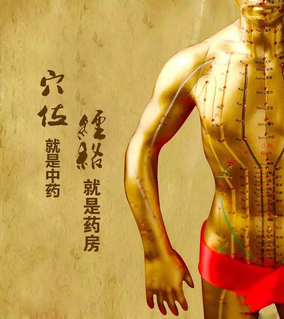 ��ͳ��ѧ֮Ѩλ������ҩ  �������ҩ��